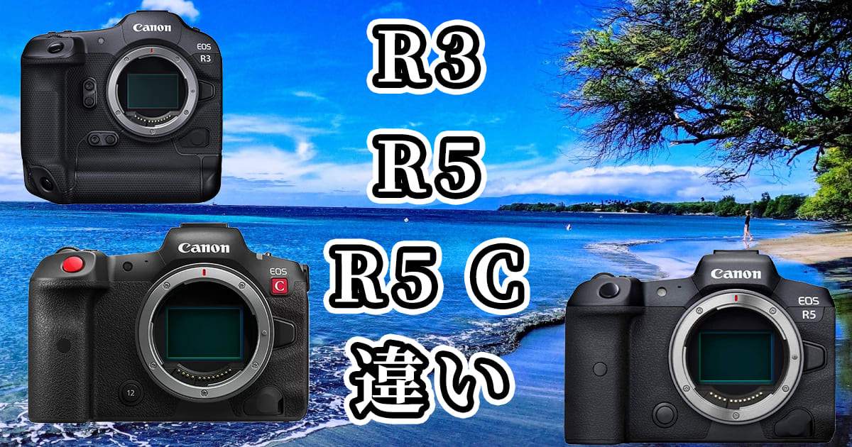 R3・R5・R5 C(キャノン[Canon]EOS)の違いを比較
